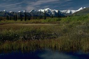 hiking meadow